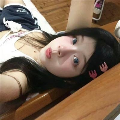 夜之蝶